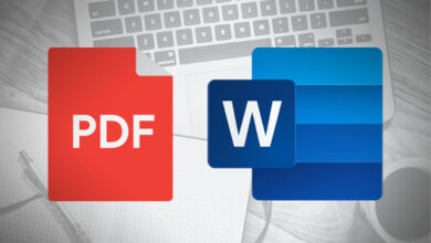 Convert PDF to Word Document